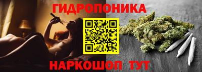 a pvp Тула