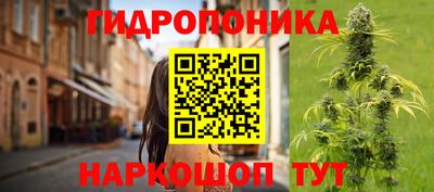 a pvp Тула
