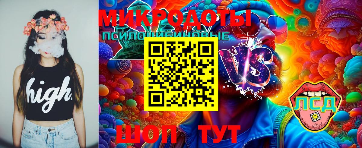 Псилоцибиновые грибы GOLDEN TEACHER  Галлюциногенные грибы Cubensis  Обь  Вход с VPN 